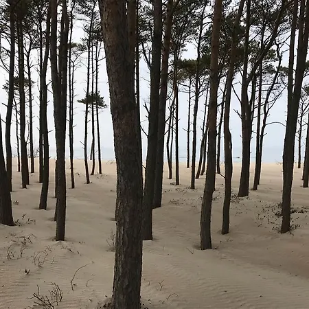 Nad Morzem شقة روفي