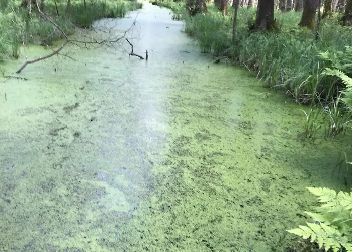 Apartamento Nad Morzem *